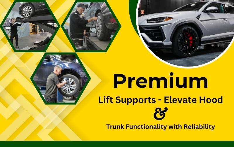 Premium Lift Supports: Elevate Hood and Trunk Functionality with Reliability