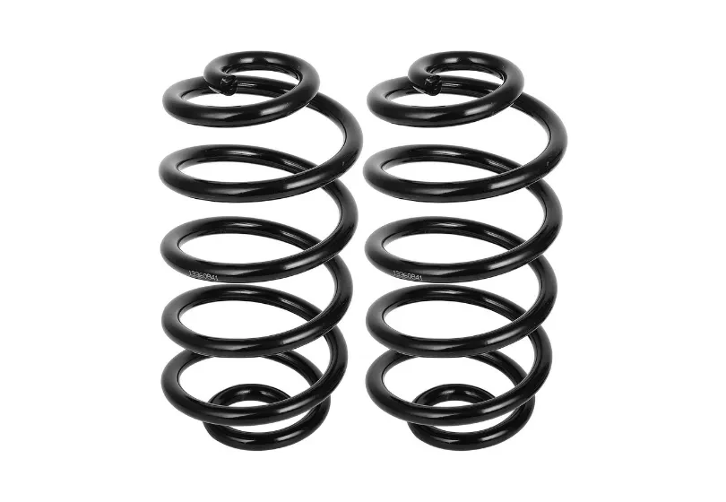 Rear Coil Spring Pair