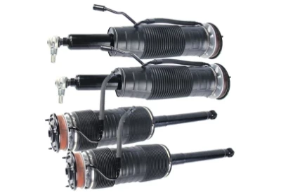 Rear Hydraulic Shocks